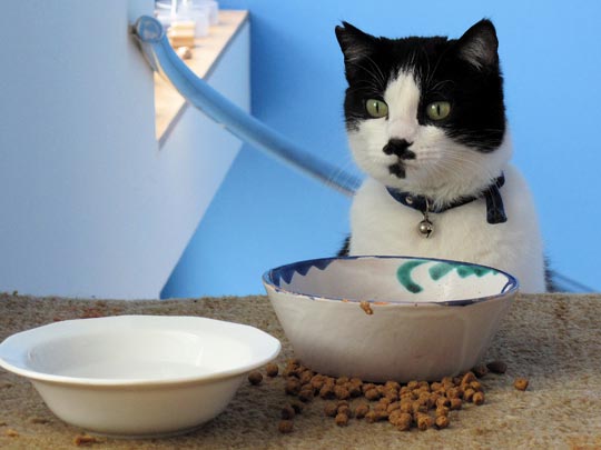  ANDREU BUENAFUENTE _ a ver si traen el segundo 