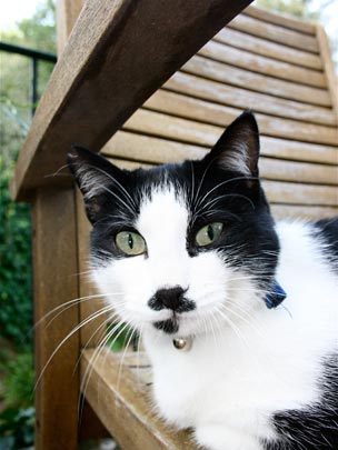  ANDREU BUENAFUENTE _ charlie 