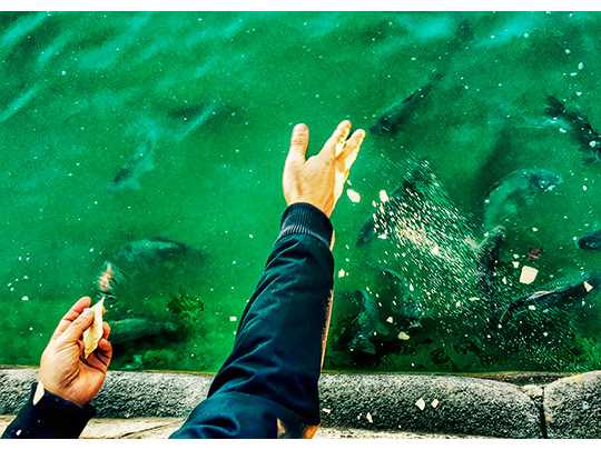  ANDREU BUENAFUENTE _ darás de comer a los peces 