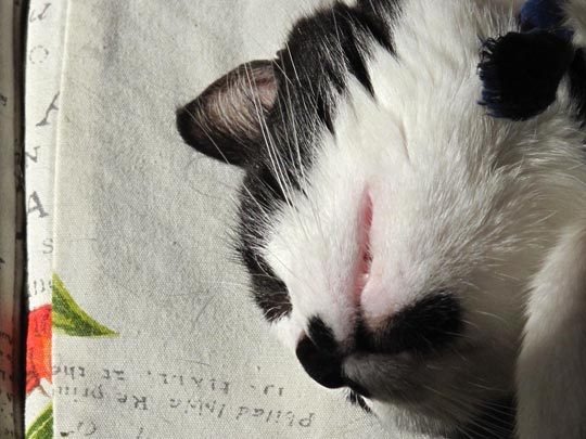  ANDREU BUENAFUENTE _ descanso 