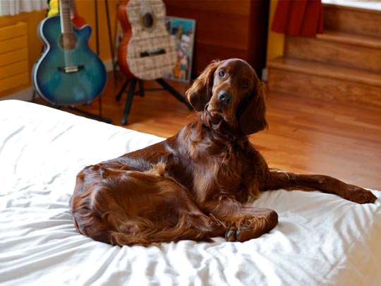  ANDREU BUENAFUENTE _ dime, dime 