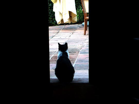  ANDREU BUENAFUENTE _ el vigilante 