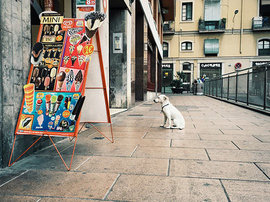  ANDREU BUENAFUENTE _ el perro que quería un helado 