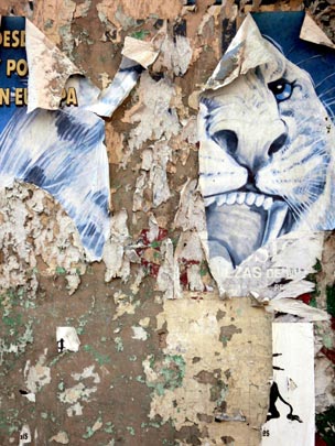  ANDREU BUENAFUENTE _ especie protegida 