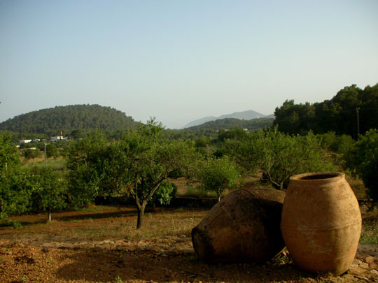  ANDREU BUENAFUENTE _ estampa ibicenca 