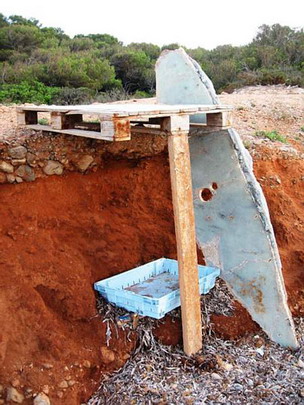  ANDREU BUENAFUENTE _ la inteligencia humana 