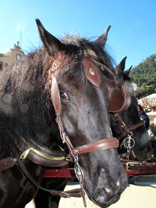  ANDREU BUENAFUENTE _ la mirada 