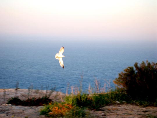  ANDREU BUENAFUENTE _ libertad 