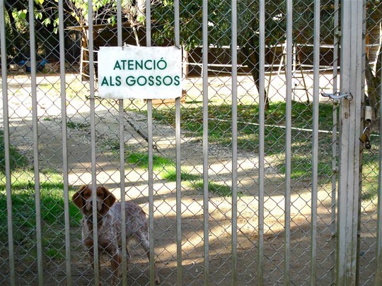  ANDREU BUENAFUENTE _ llamada de atención 