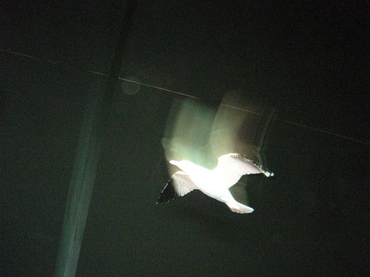  ANDREU BUENAFUENTE _ llega la campaña 