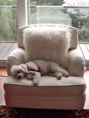  ANDREU BUENAFUENTE _ madre de alquiler 