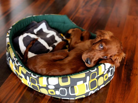  ANDREU BUENAFUENTE _ melancolía 