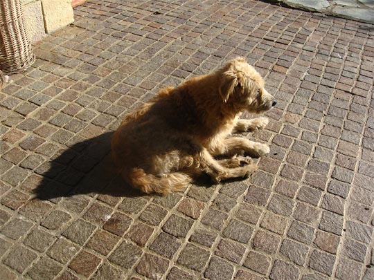  ANDREU BUENAFUENTE _ paciencia 