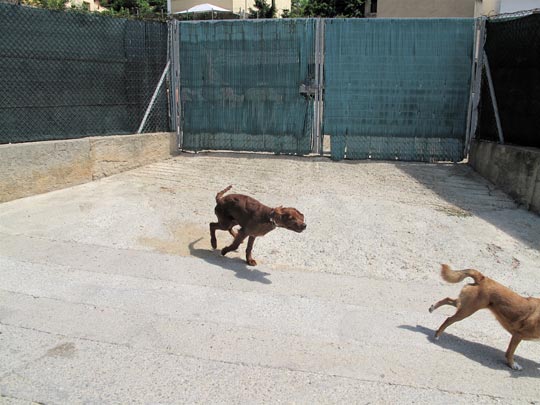  ANDREU BUENAFUENTE _ persecución 