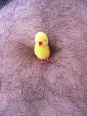  ANDREU BUENAFUENTE _ pollito 3 