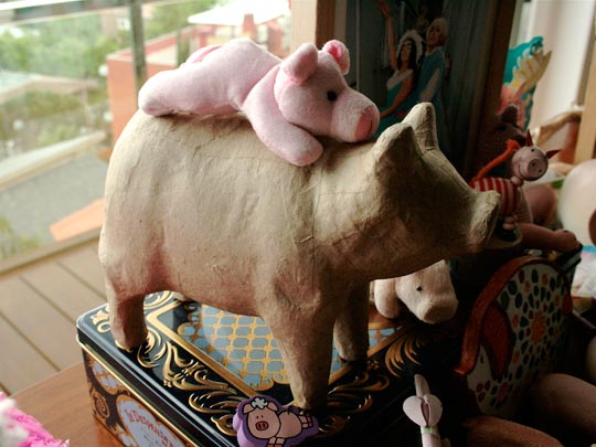  ANDREU BUENAFUENTE _ solidaridad porcina 