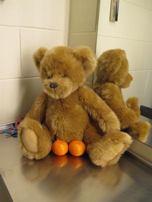  ANDREU BUENAFUENTE _ transgénico 