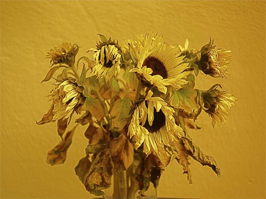  ANDREU BUENAFUENTE _ un día nublado 