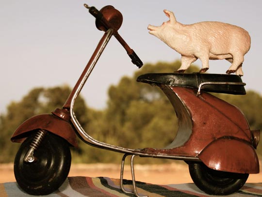  ANDREU BUENAFUENTE _ vacaciones 