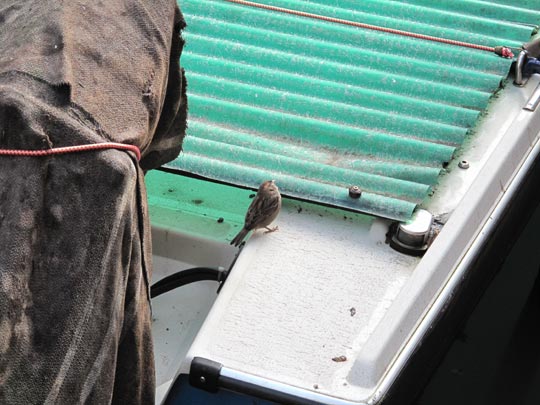  ANDREU BUENAFUENTE _ venecia (3) 