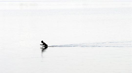  ALBERT FERRER _ moisés en la laguna de perlas 