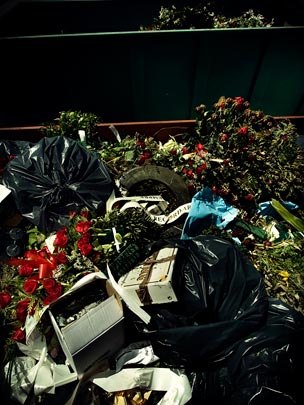  ALBERT JODAR _ al final del camino 