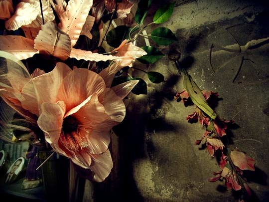  ALBERT JODAR _ amor en lapidario 