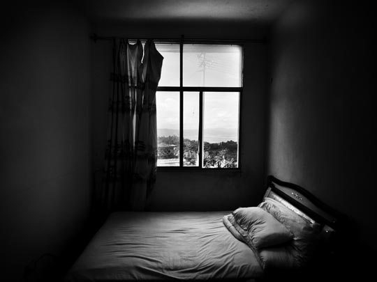  ALBERT JODAR _ cucarachas, destellos y sueños, china, 2011 