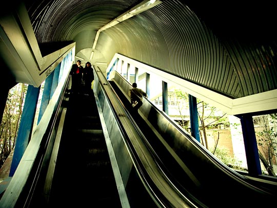  ALBERT JODAR _ de camino a casa 