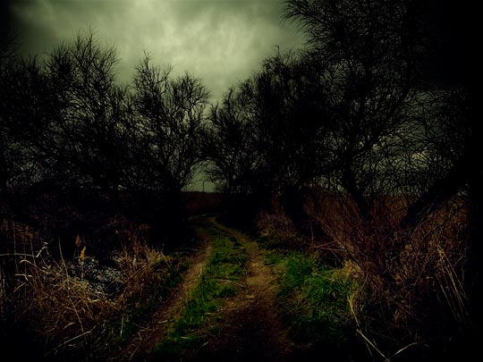  ALBERT JODAR _ el camino de la casa del olvido 