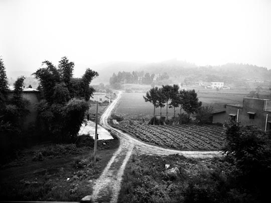  ALBERT JODAR _ el despertar en la granja, barcelona, 2011 