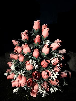  ALBERT JODAR _ flores muertas (3) 