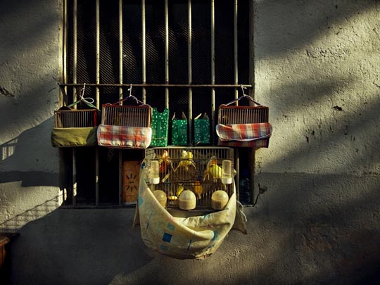  ALBERT JODAR _ itunes analogico (1) 