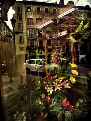  ALBERT JODAR _ la elijió para la cita 