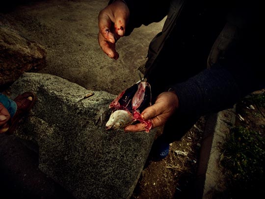  ALBERT JODAR _ lección de anatomía de chanquete 