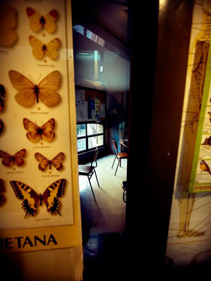  ALBERT JODAR _ mariposas, destellos y un sueño de verano 