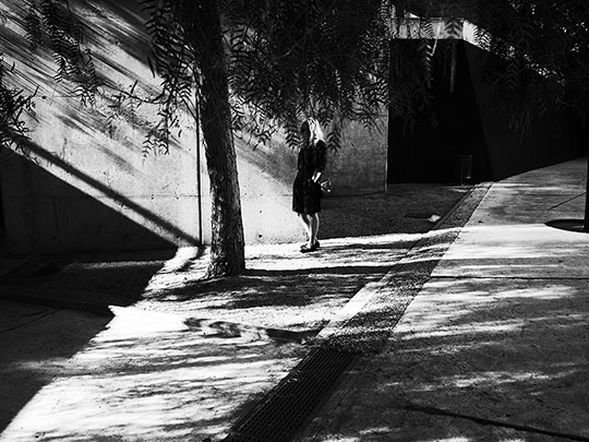  ALBERT JODAR _ observando una carrera de sombras. barcelona, 2013 