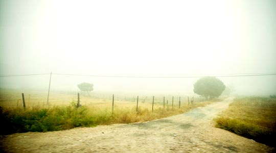  ALBERT JODAR _ pasos y leyendas 