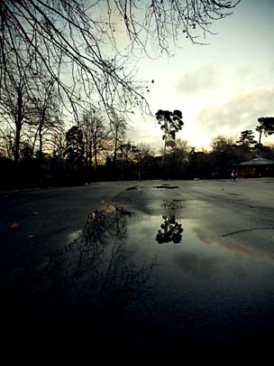  ALBERT JODAR _ que no te goteen 