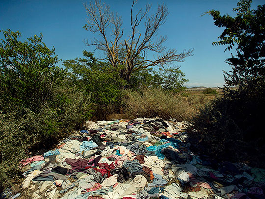  ALBERT JODAR _ transmutación de una población. alicante, 2013 