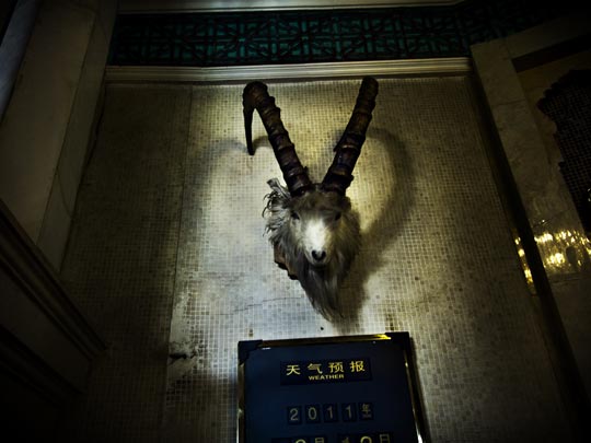  ALBERT JODAR _ víctima del clasismo, china, 2011 