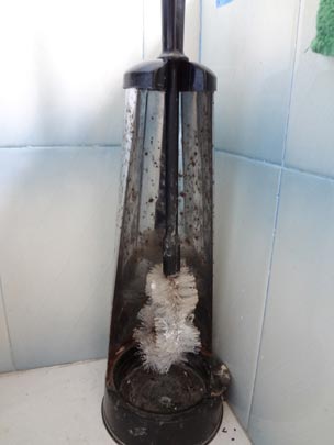  ARIANA SANTAMARIA [Villaviciosa-Asturias] _ ag 