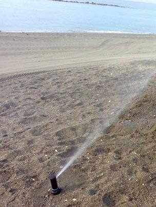  FRANCISCO PARDO [Málaga] _ agüita pa na 