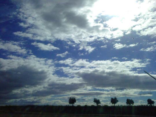  GEMA HERNANDEZ [Gandia-Valencia] _ arbolitos 