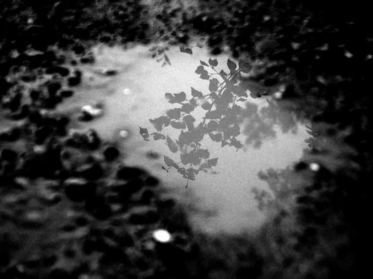  LUSY INCERA [Laredo-Cantabria] _ asfalto natural 