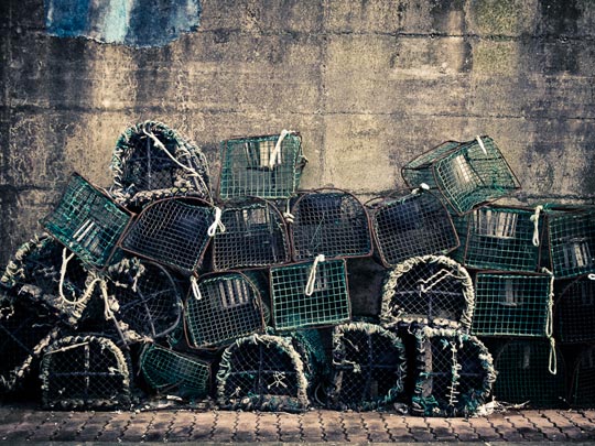  JORDI GONZALEZ [Zarautz-Guipúzcoa] _ atrapdos en la red 