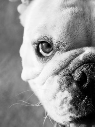  MARTA VALLS [Lloret de Mar-Girona] _ betty 