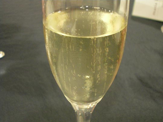  GEMMA MORENO [Terrassa-Barcelona] _ brindemos por la crisis 