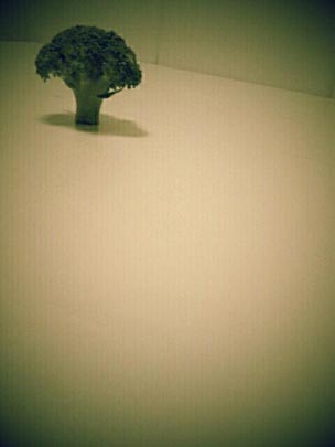  MIGUEL ANGEL LÓPEZ [Valencia] _ brócoli 