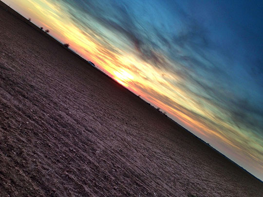  EVA NIETO [Madrid] _ campos de la mancha 